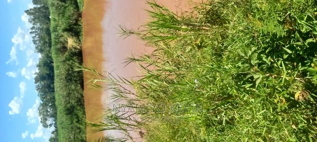 Ugenya Uholo - thumbnail 4