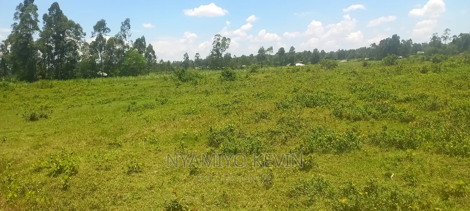 Ugenya Uholo in Ugunja Land & Plots for Sale, Nyamiyo Kevin Jiji.co.ke