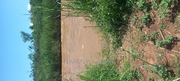 Ugenya Uholo - thumbnail 7