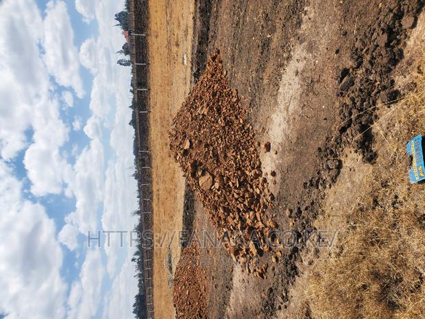 Ploti Freshi Malaa^Sj - thumbnail 3