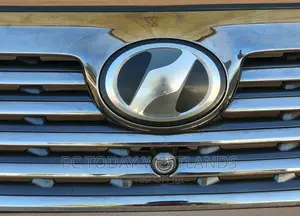 TOYOTA Vellfire 2010/2011 Front Chrome Grille With Camera