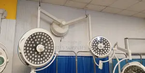 Double Arm Theatre Light "( Ceiling Mount)