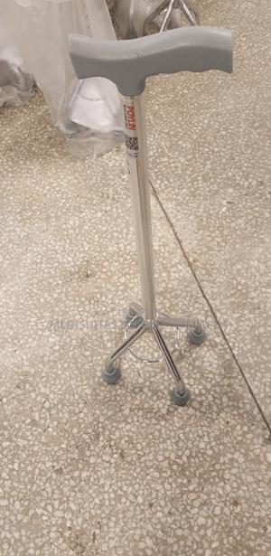 Four Legged Walking Stick - thumbnail 2