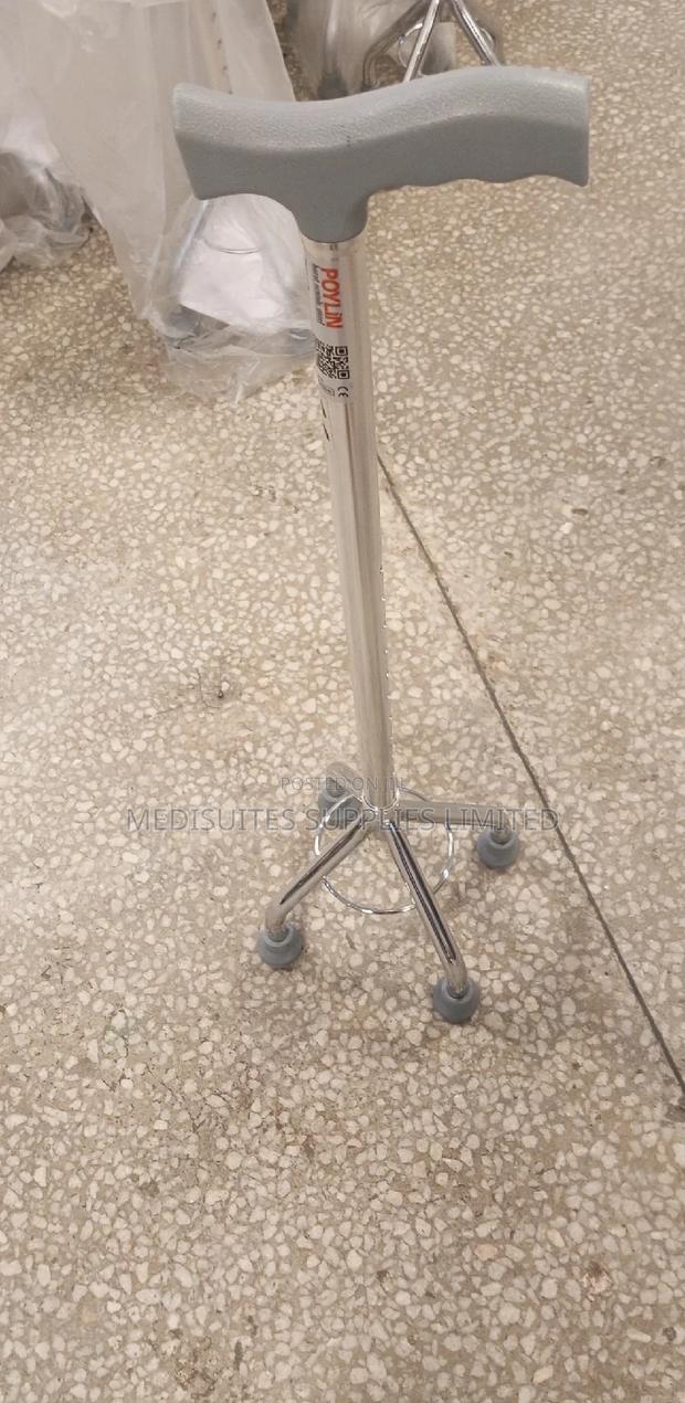 Four Legged Walking Stick - main view