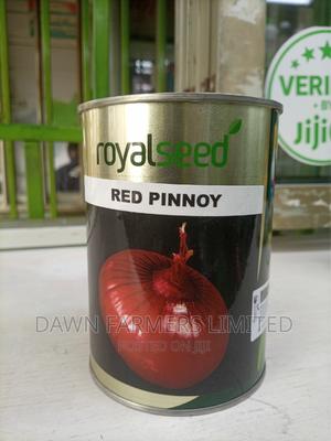 Red Pinnoy Hybrid Onions 250g - main view