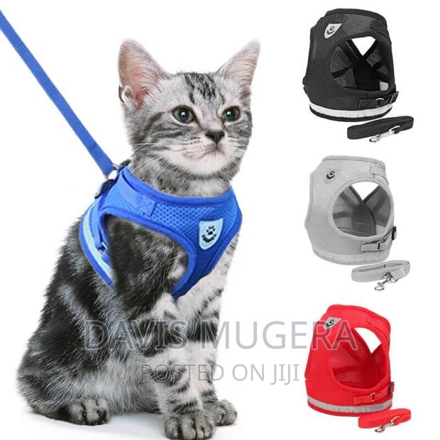 Step-in Soft Vest Cat Harness + Leash - thumbnail 3