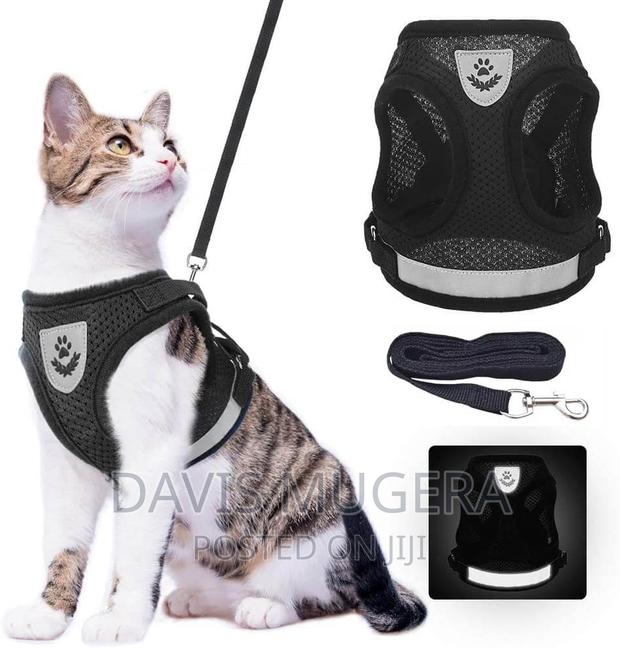 Step-in Soft Vest Cat Harness + Leash - thumbnail 5