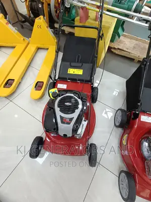 Briggs and Strattons 3.5hp