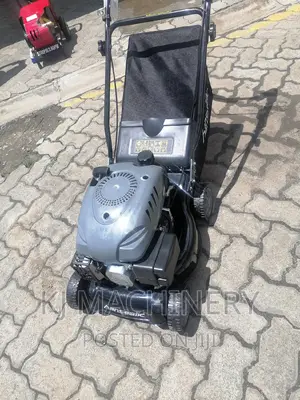 Hanstic Quality Gasoline Powered Lawn Mower-Best