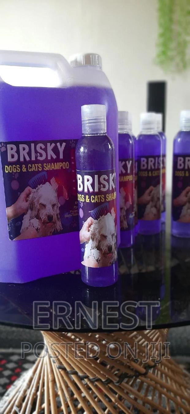 Brisky Dog Cat Shampoo. - thumbnail 8