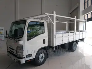 Isuzu NMR Truck