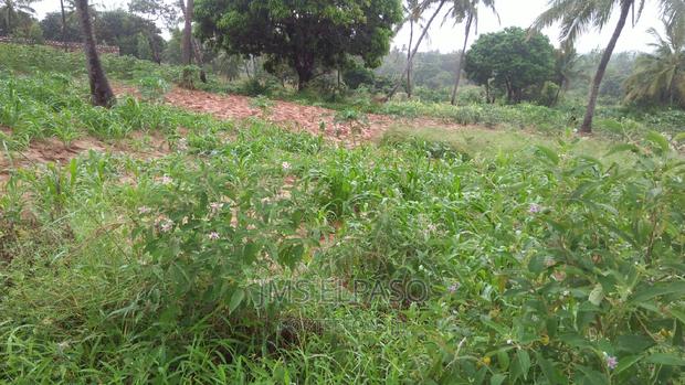 2 Acre Farm Land for Sale Likoni-Kiteje
