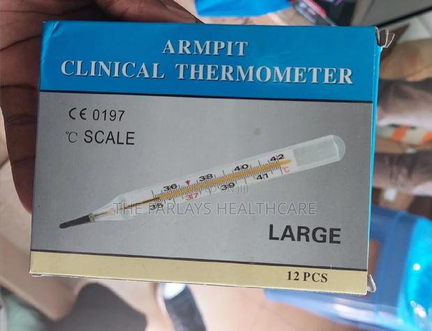 Clinical Mercury Thermometer LARGE. - main view