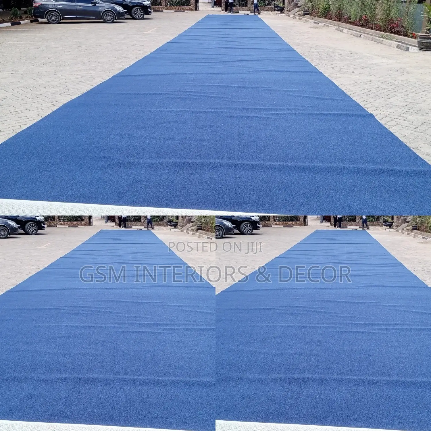 Blue Carpet Blue Carpet Blue Carpet Blue Carpet Blue Carpet