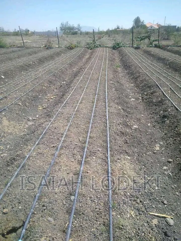 Drip Line Installation