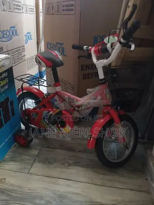 Bike Size 12 Lion King