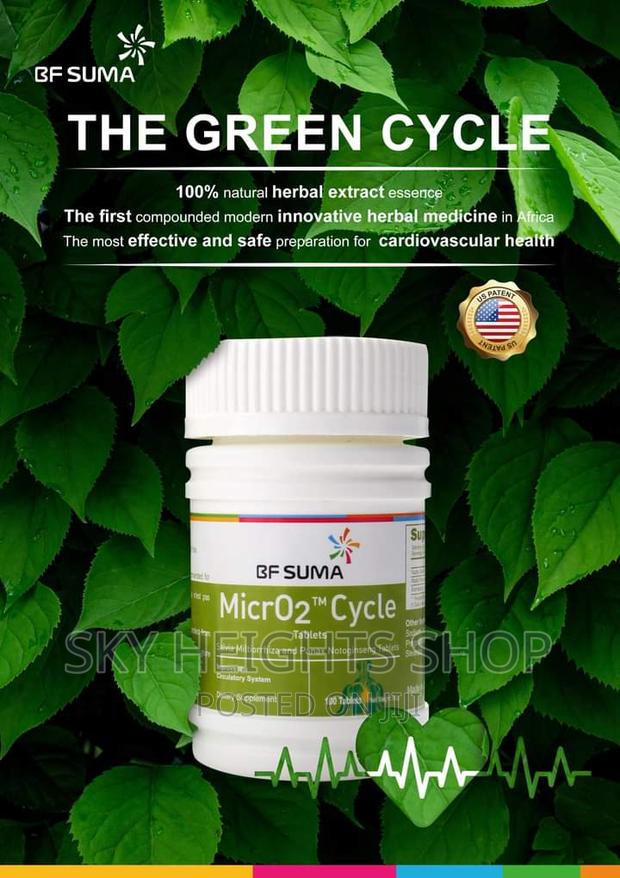 Approved Micr02 Cycle: Healthy Heart and Circulatory System - main view