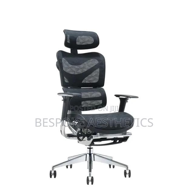 Executive Ergonomic Mesh Office Chair, With Foot Rest