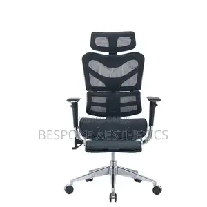 Executive Ergonomic Mesh Office Chair, With Foot Rest
