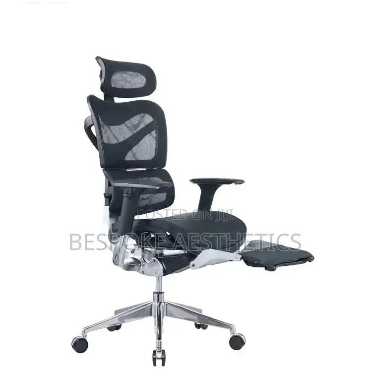 Executive Ergonomic Mesh Office Chair, With Foot Rest