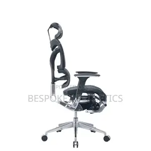 Executive Ergonomic Mesh Office Chair, With Foot Rest