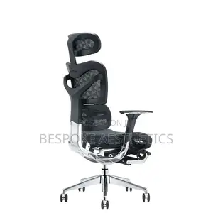 Executive Ergonomic Mesh Office Chair, With Foot Rest