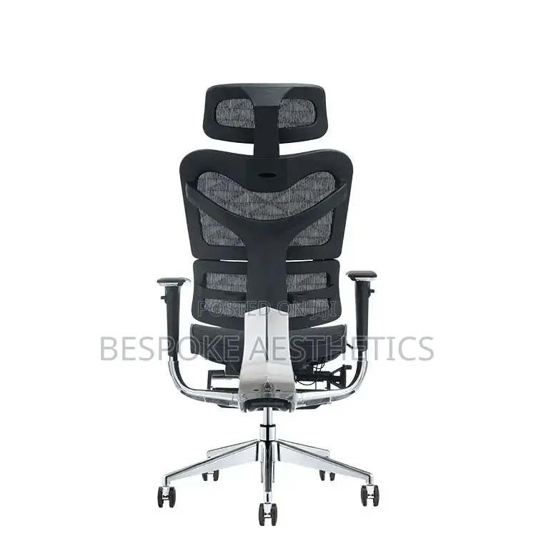 Executive Ergonomic Mesh Office Chair, With Foot Rest