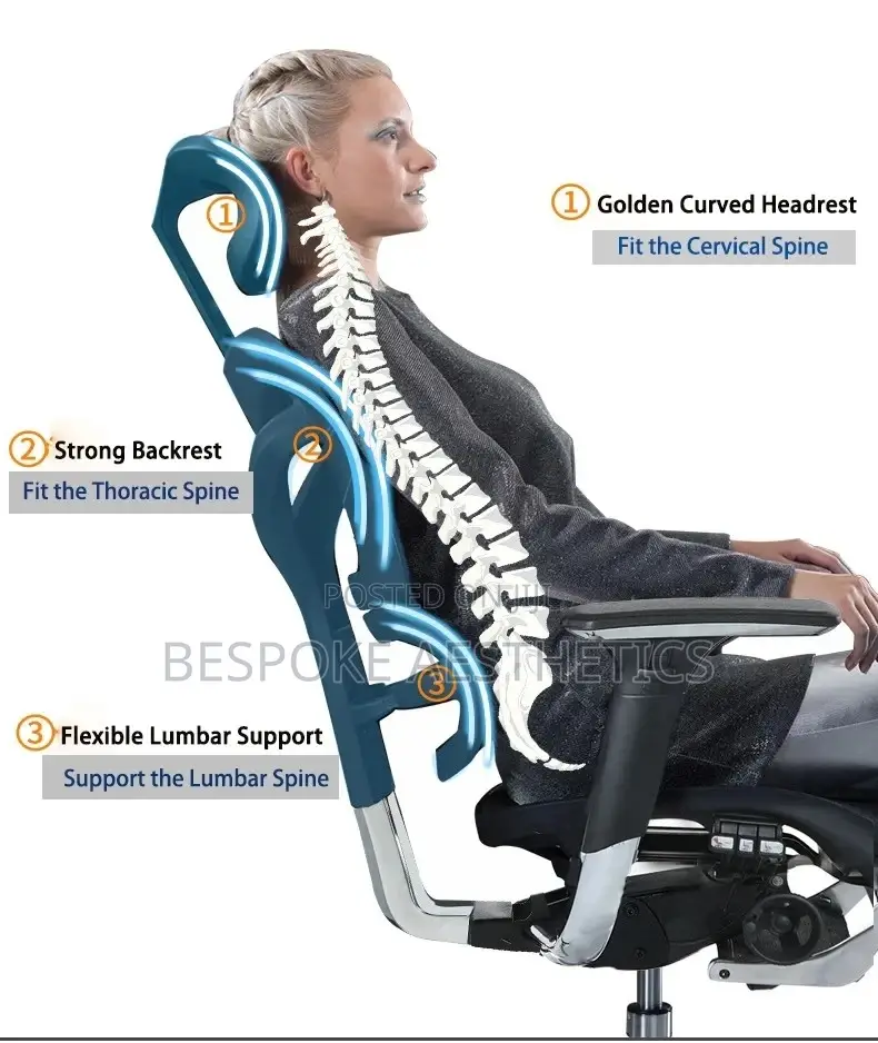 Executive Ergonomic Mesh Office Chair, With Foot Rest