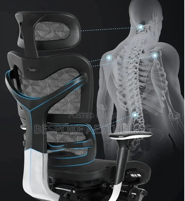 Executive Ergonomic Mesh Office Chair, With Foot Rest