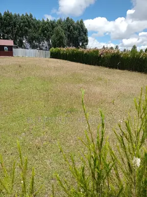 1/4 Plot Kiplombe With Title 100 Metres From Tarmac
