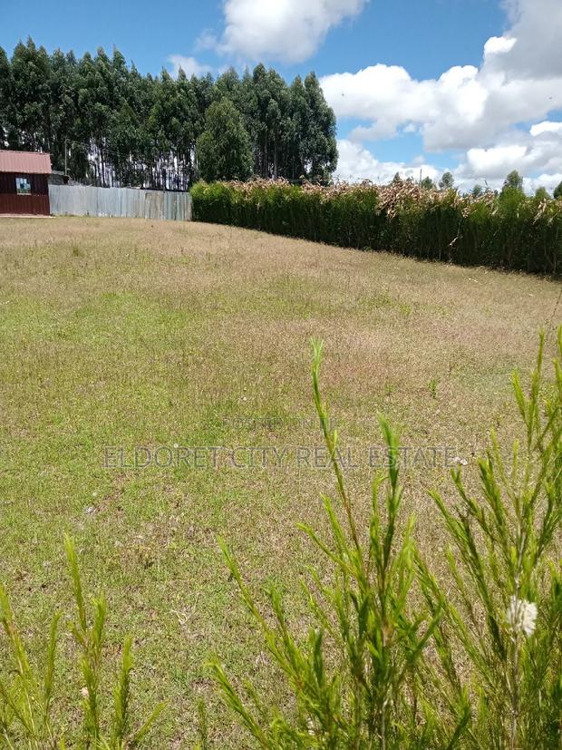 1/4 Plot Kiplombe With Title 100 Metres From Tarmac - thumbnail 2