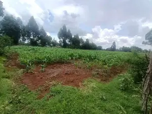 4.5 Acres Soy B With Title