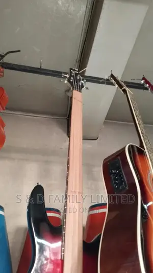 4 String Passive Guitar Ibanez