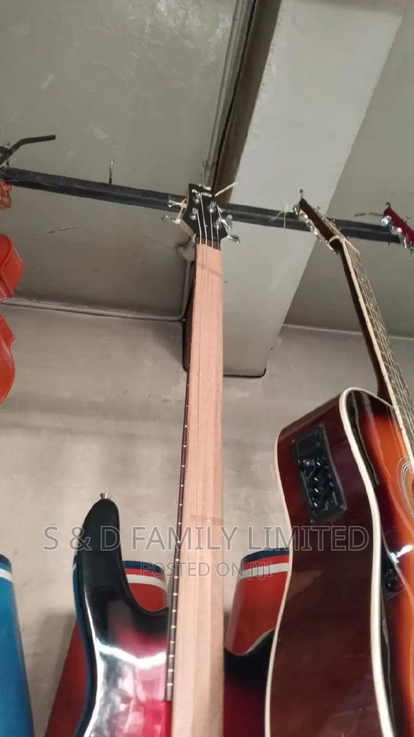 4 String Passive Guitar Ibanez