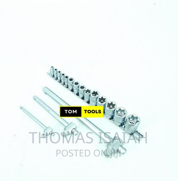 17PCS E Socket Torx Star Socket Set E4 to E24 - main view
