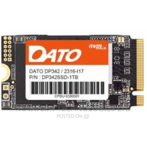 Dato SSD 1tb M.2 Nvme 2242 SSD