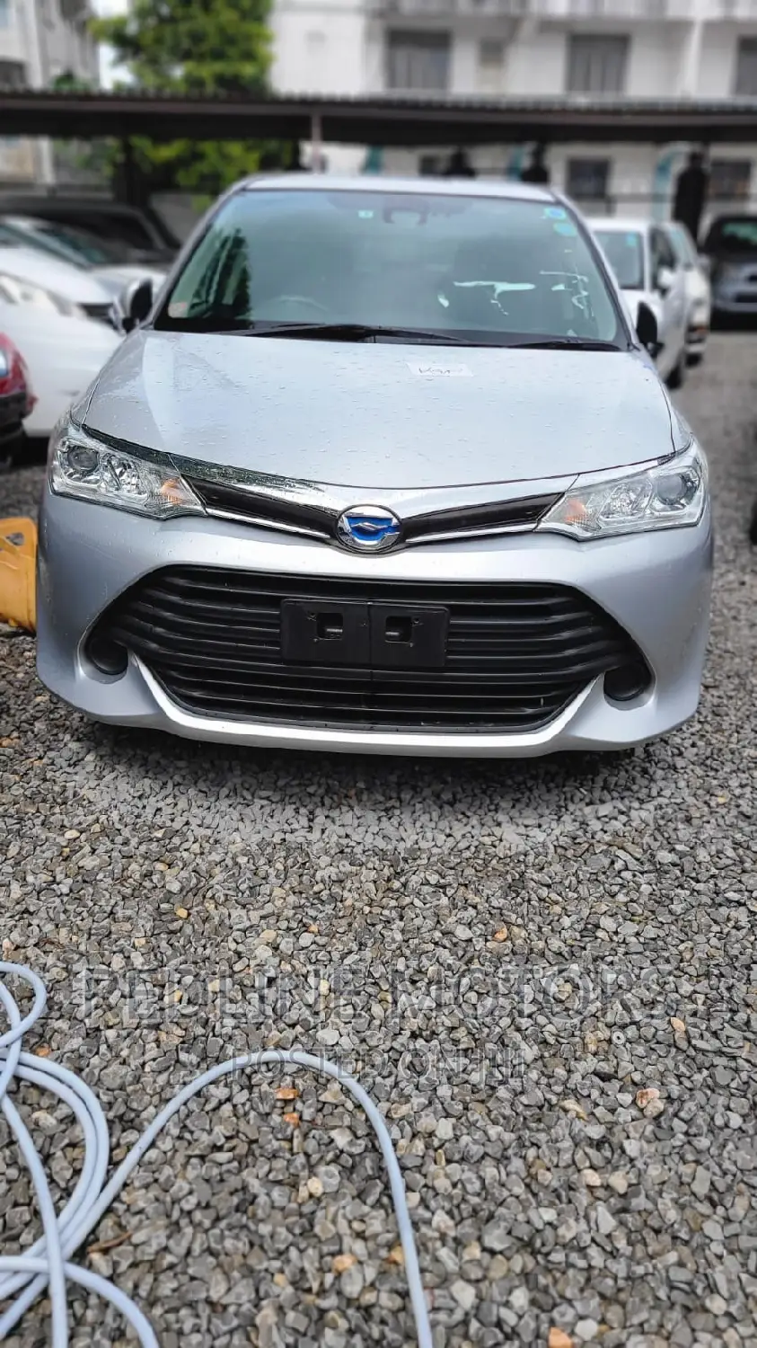 Toyota Corolla Fielder 2017 Silver