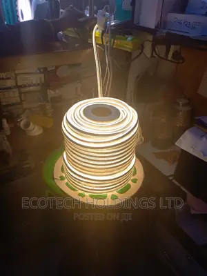 Neon Snakelight