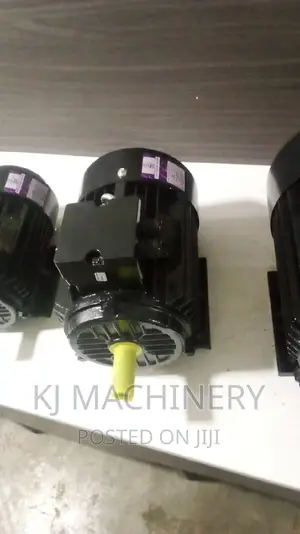 5.5horse Power Mace Electric Super Efficient Motors