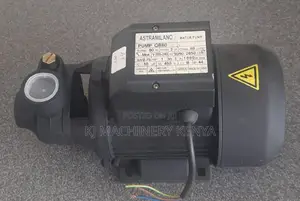 Astramilano Water Pump