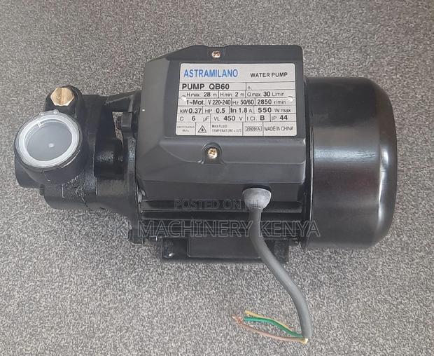 Astramilano Water Pump - thumbnail 2