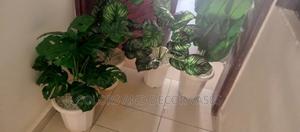 Artificial Plants And Vases Offer Running - thumbnail 2
