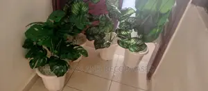 Artificial Plants And Vases Offer Running
