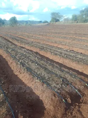 Dripplines Installation