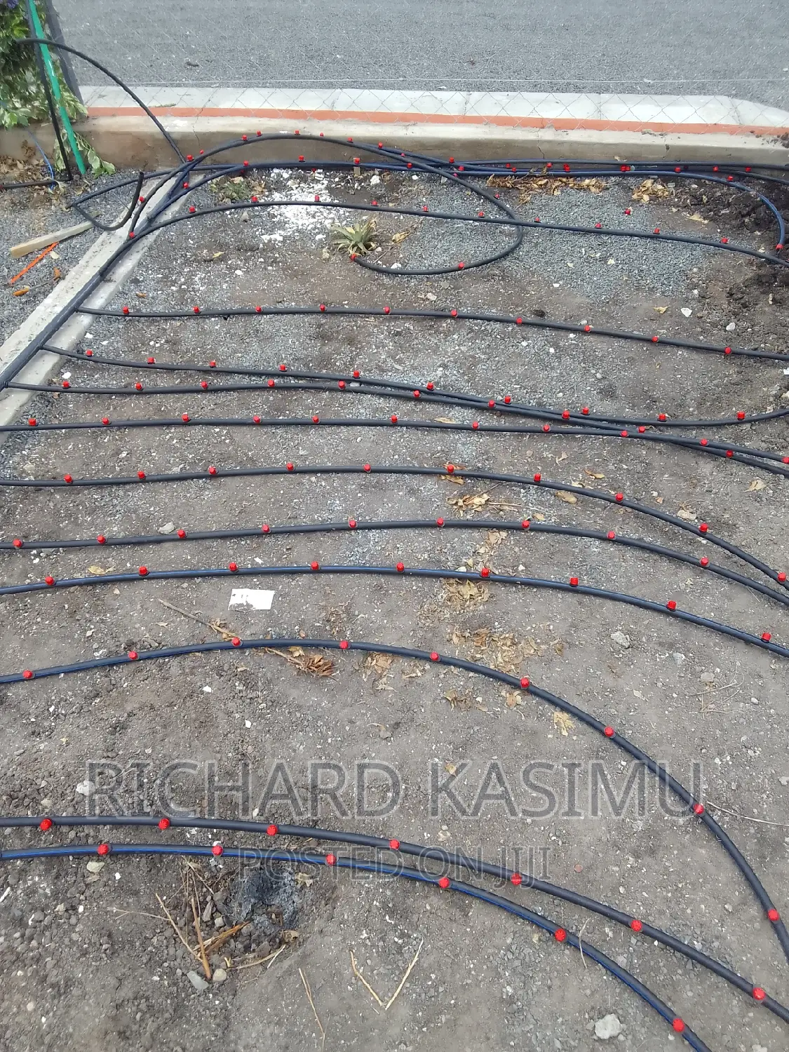 Dripplines Installation