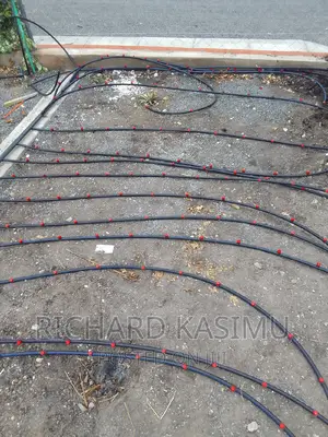 Dripplines Installation