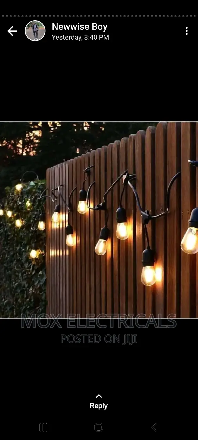 Decorative Sting Lights
