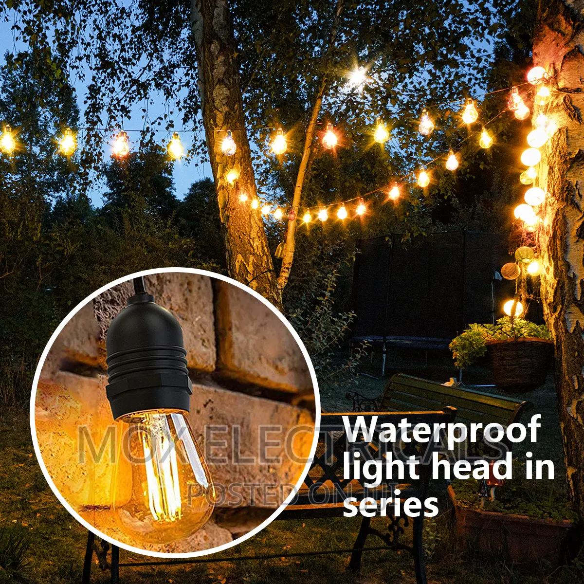 Decorative Sting Lights