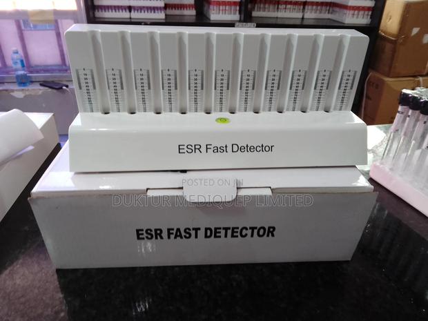 ESR Fast Detector - main view