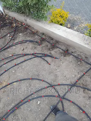 Plumbing and Dripline Installation